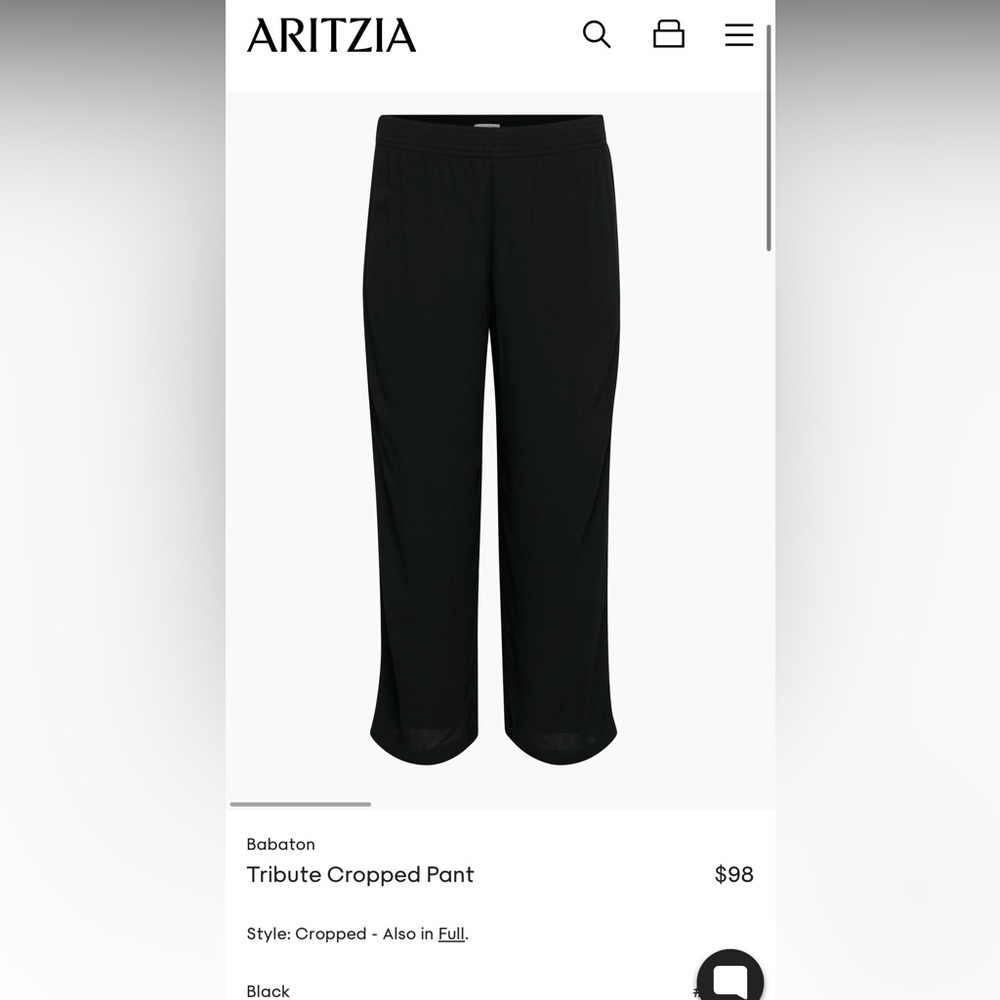 Aritzia cropped pants